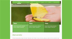 Desktop Screenshot of lamejorwebdemadrid.com